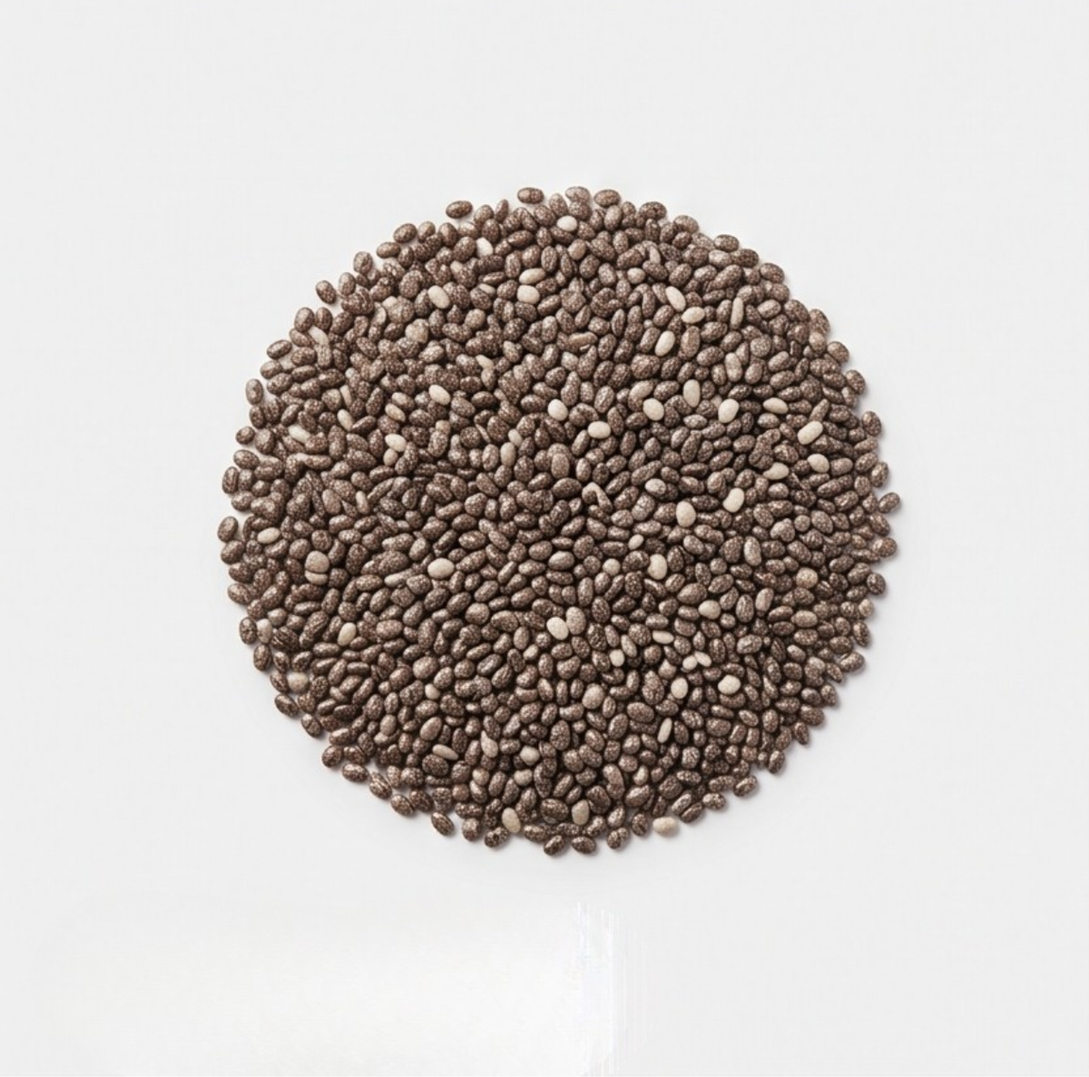 Chia seed