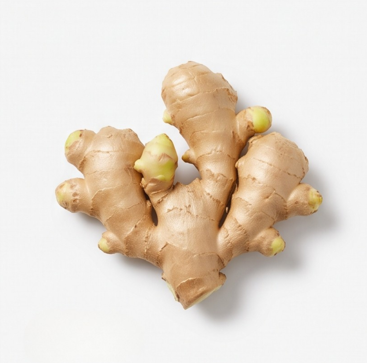 Ginger