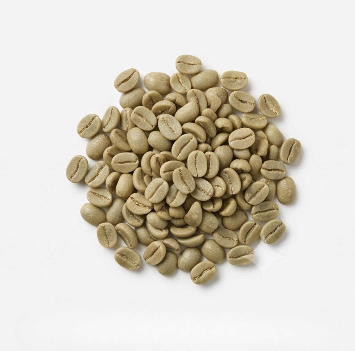 Green Coffee Bean