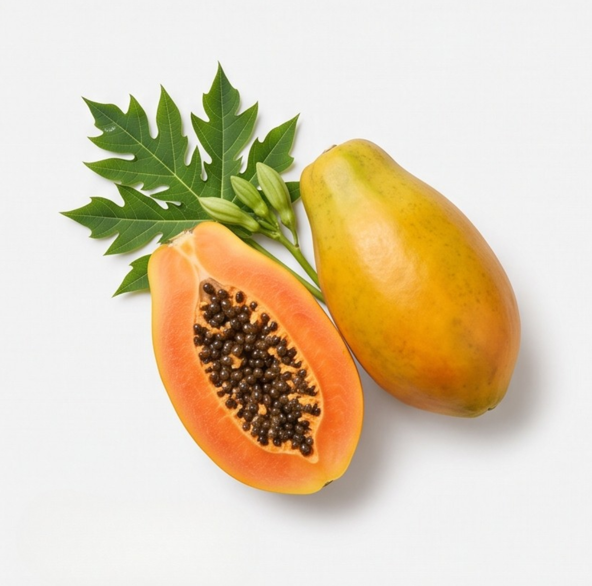 Papaya
